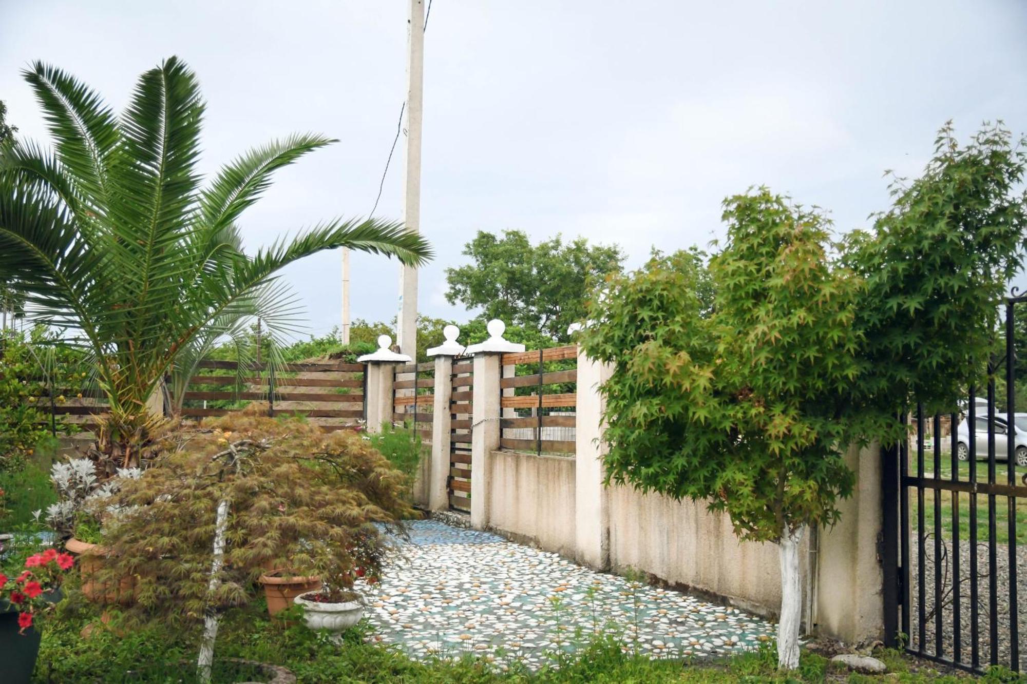 Magnito Villa Shekhvetili Exterior photo